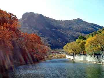 新澳天天开奖资料大全旅游团，奥迪论坛